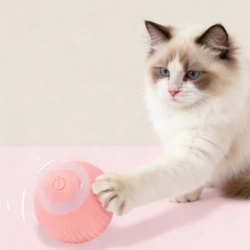 KittySpin Ball