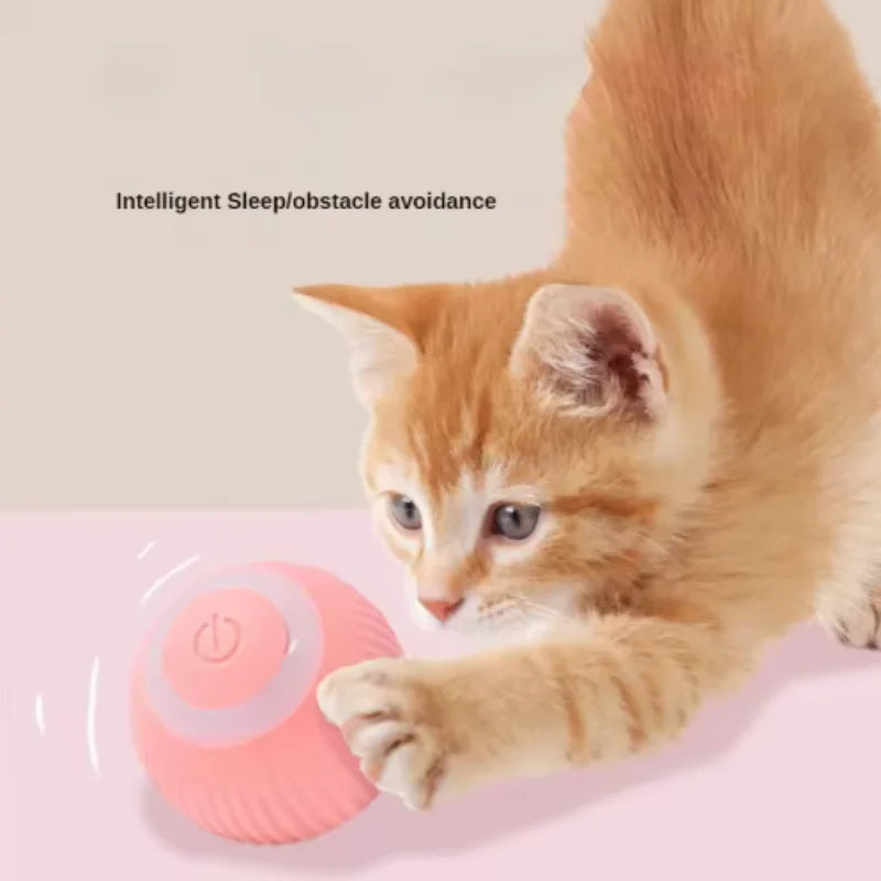 KittySpin Ball