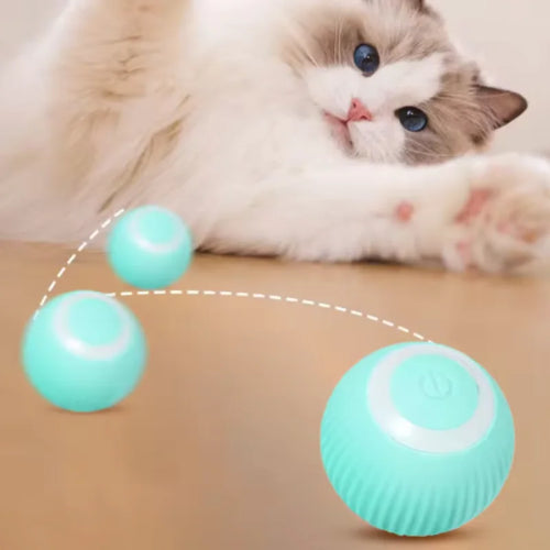 KittySpin Ball