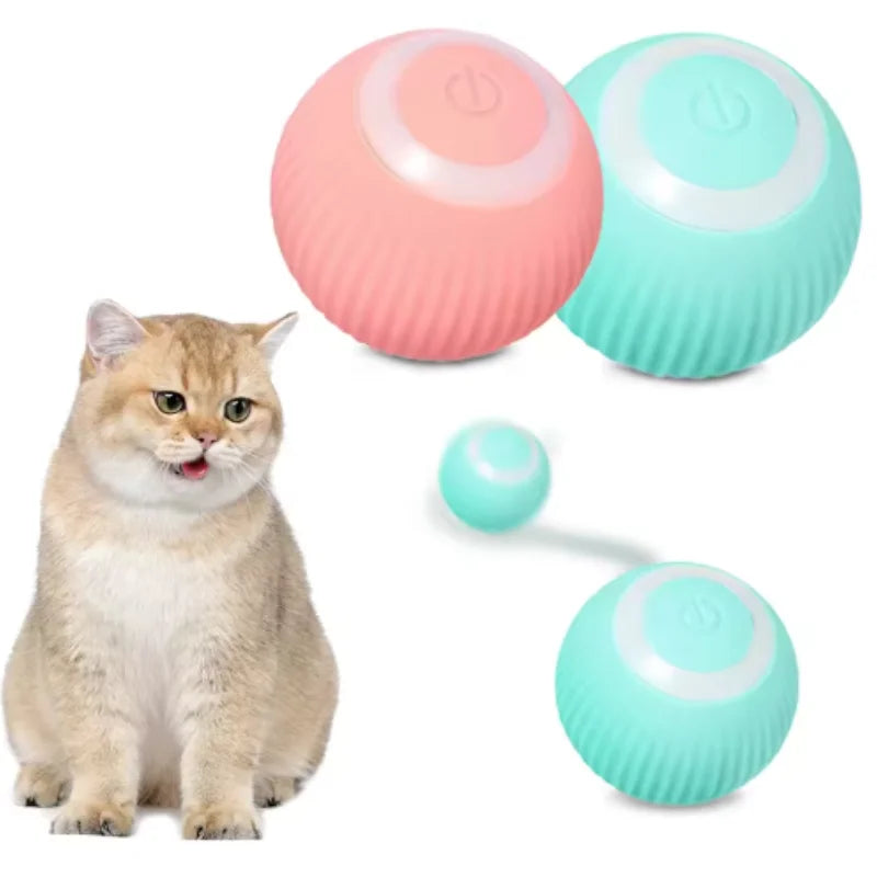 KittySpin Ball