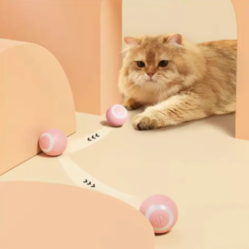 KittySpin Ball